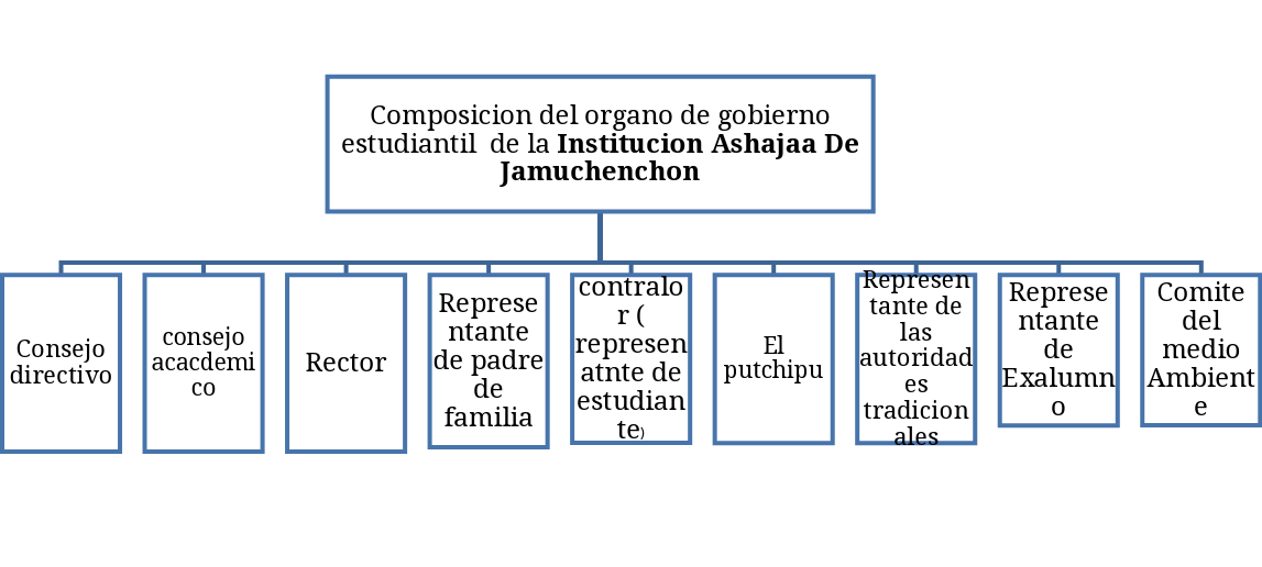 Organigrama Institucional de la IER Ashajaa